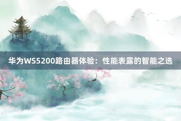 华为WS5200路由器体验：性能表露的智能之选